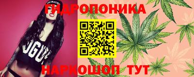 ECSTASY Гулькевичи