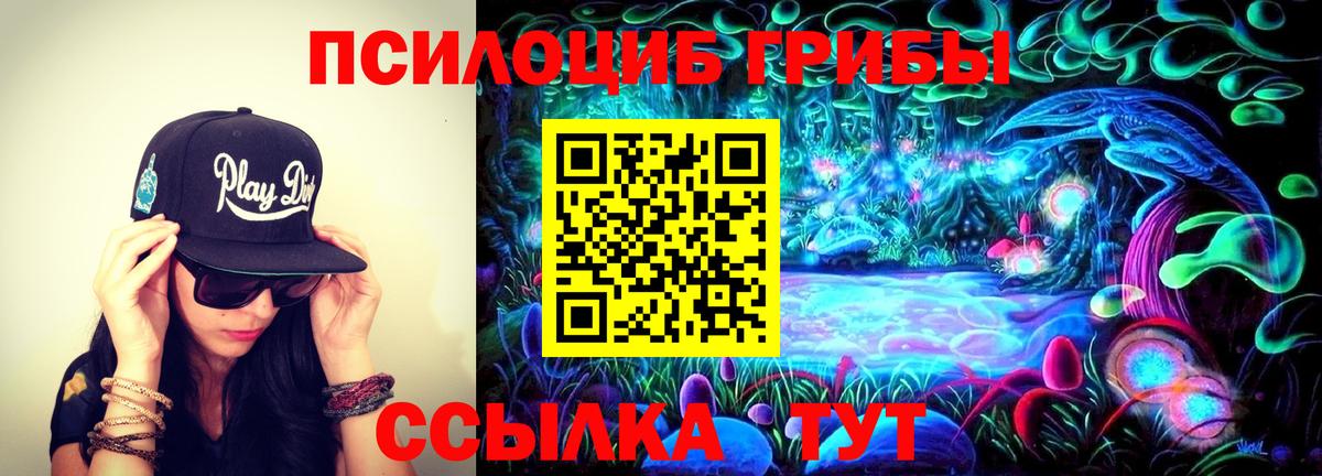 Всеволожск  Галлюциногенные грибы MAGIC MUSHROOMS  Вход с VPN 