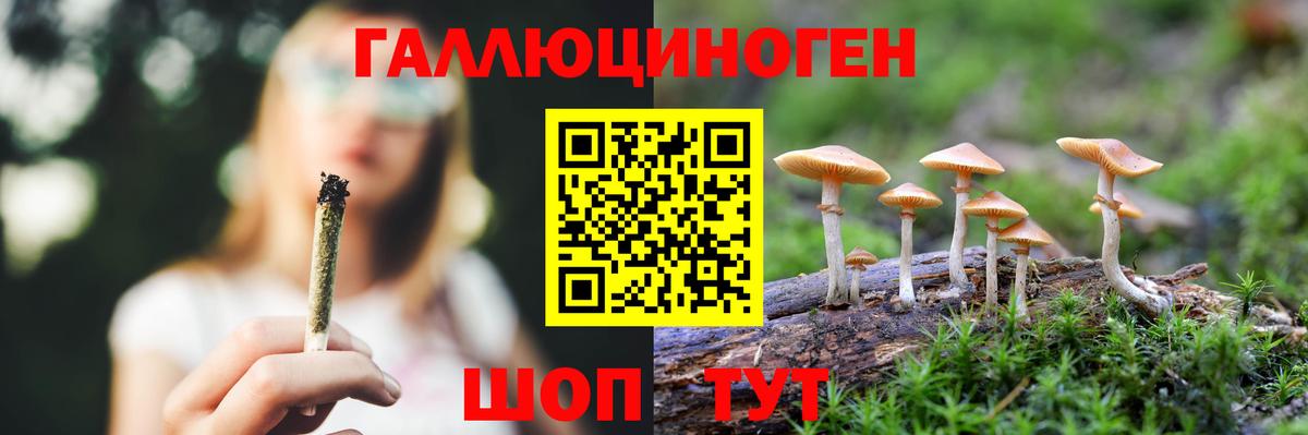 Галлюциногенные грибы мухоморы Всеволожск